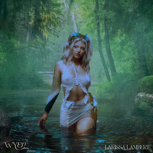 美国1级黄色影碟片
