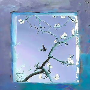 美国1级黄色影碟片
