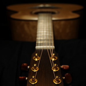 美国1级黄色影碟片
